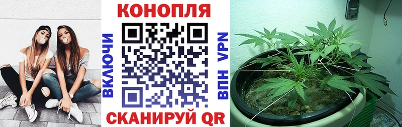 блэк спрут зеркало  Заринск  нарко площадка наркотические препараты  Канабис индика 